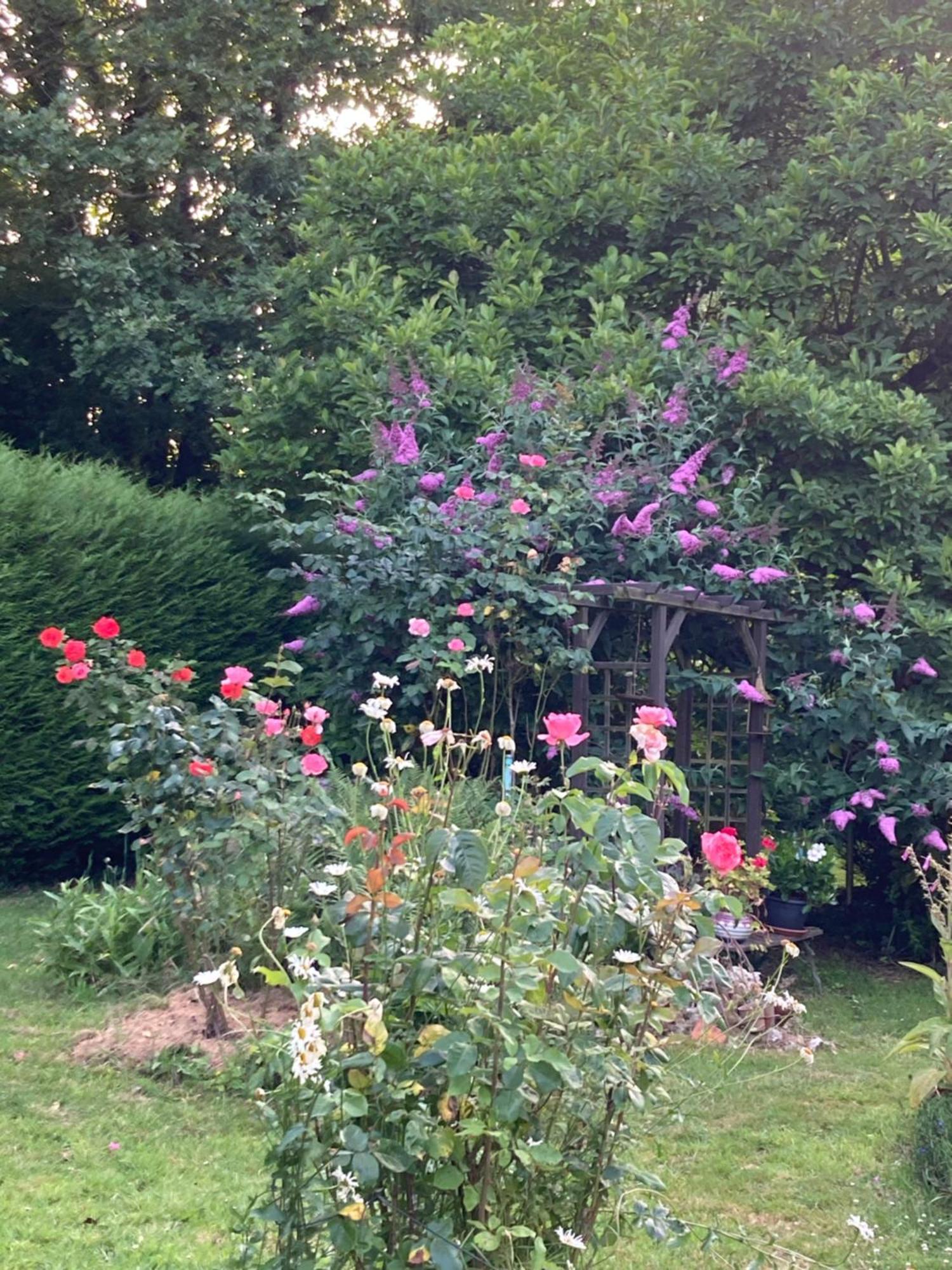 A 2 Heures De Paris, Loft Romantique De 55 M2 En Pleine Nature Entre Campagne Et Mer Saint-Philbert-des-Champs Εξωτερικό φωτογραφία